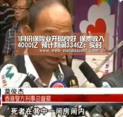熊猫体育官网