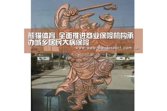 熊猫体育_全面推进商业保险机构承办城乡居民大病保险(图1) 实时比分
