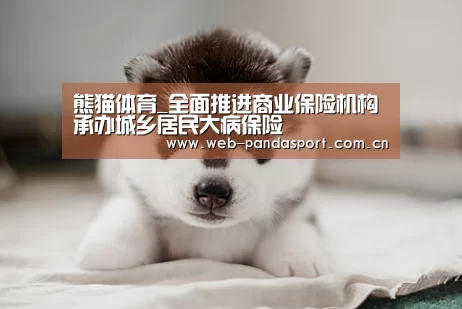 熊猫体育_全面推进商业保险机构承办城乡居民大病保险(图3) 熊猫体育