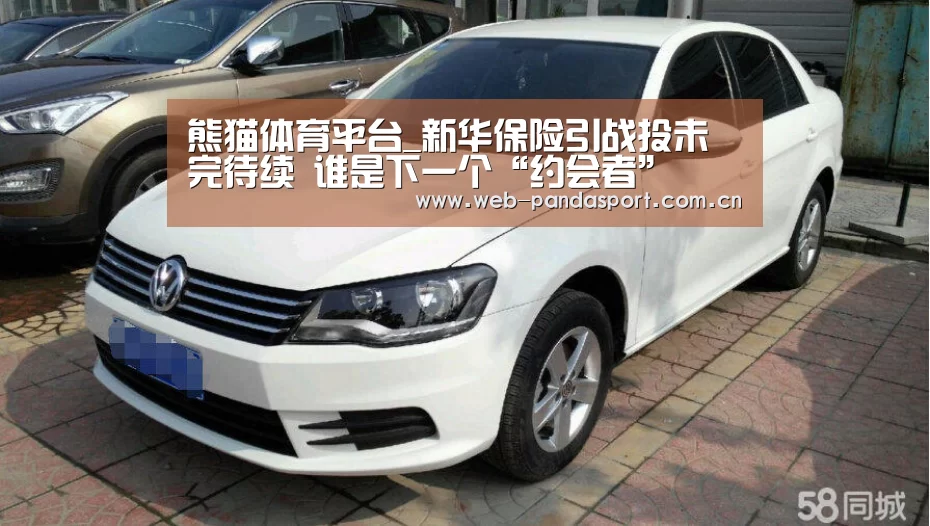 熊猫体育平台_新华保险引战投未完待续 谁是下一个“约会者”(图4) 熊猫体育