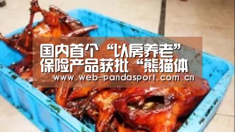 实时比分