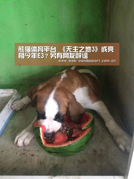 熊猫体育平台_《无主之地3》或亮相今年E3?另有网友辟谣(图1) 熊猫体育